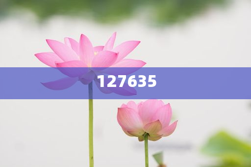 77777888888精准新传是正规平台吗，该平台资质齐全可靠，服务专业高效，用户可放心选择使用