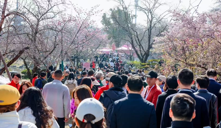 新澳门大三巴二肖中，幸运降临喜气浓，游客纷至沓来，共赏盛世繁华