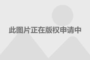 4.完全使用汉字和逗号(包含数字 4.完全使用汉字和逗号(包含数字