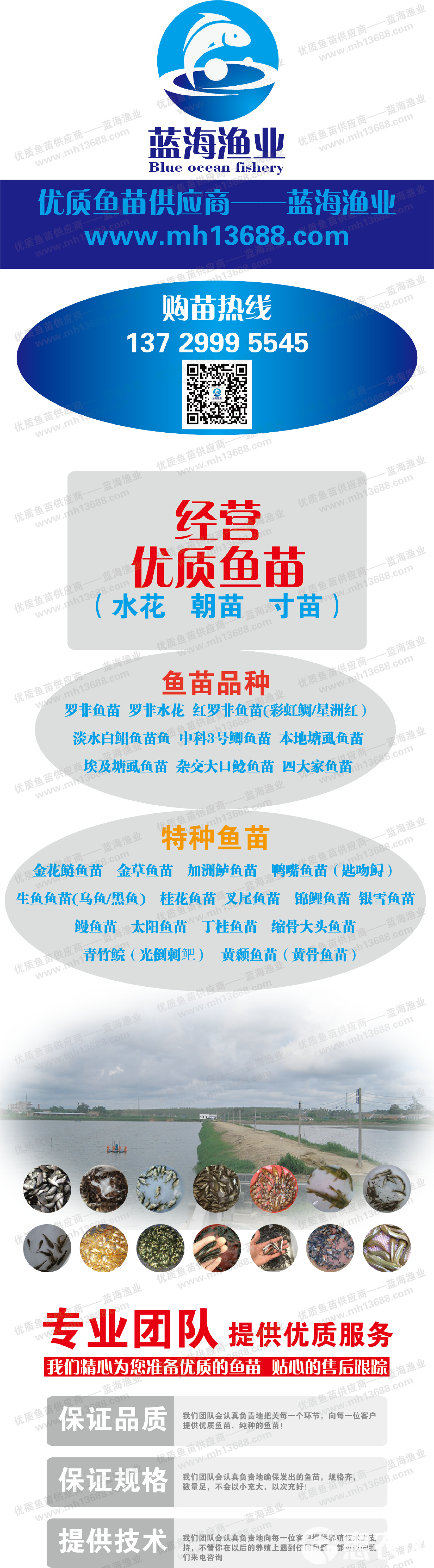 2025年全年公开资料下载免费，涵盖各领域权威数据，助力科研学习，欢迎各界人士访问获取