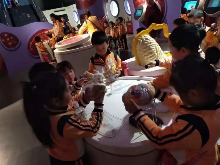 22228888117，数字串联成谜题，探寻其中奥秘，解开隐藏的秘密