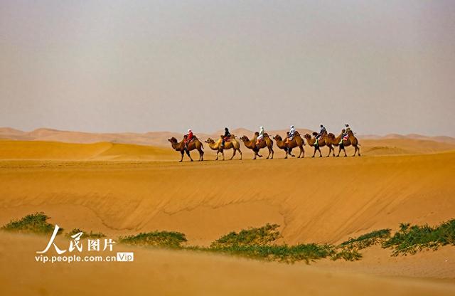 新疆777788888888风光壮美，77778888驼铃悠扬，大漠孤烟直，长河落日圆