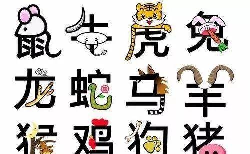 1.目标生肖前置突出