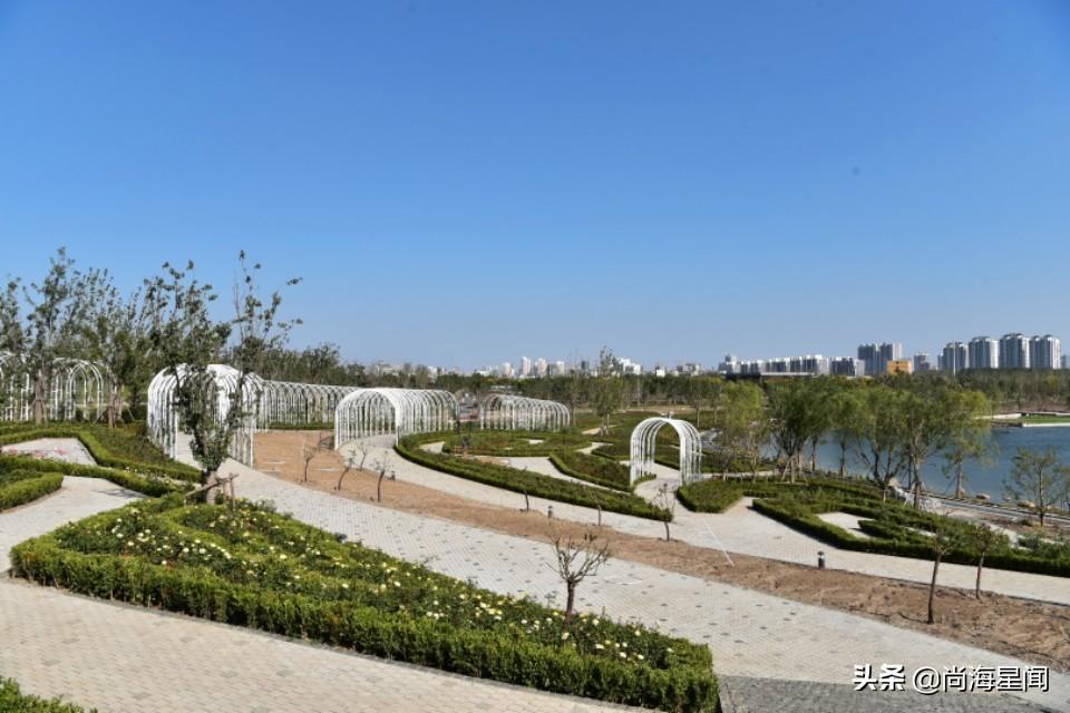 2026年800图库正版震撼上线，海量高清资源免费下载，专业团队精心打造，满足您的各类设计需求