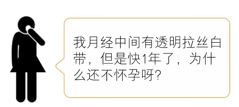 管家婆一码一特一肖一期预测，精准分析本期开奖走势，结合历史数据深度解读，助您轻松掌握中奖秘诀