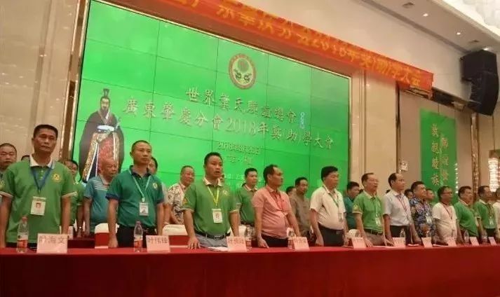 广东二八站82597，数据精准高效，服务覆盖全省，技术领先行业