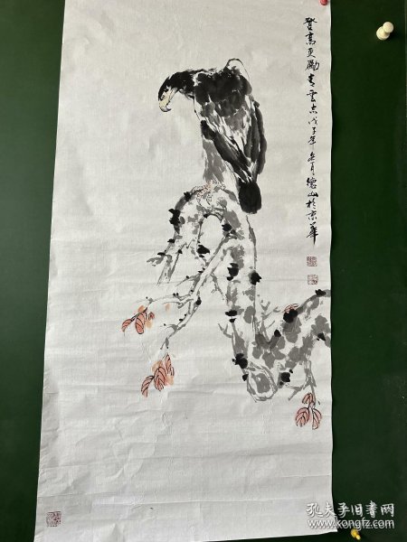 《003344广东鹰坛高手》最高权威，汇聚顶尖智慧结晶，引领行业前沿趋势，打造专业交流平台