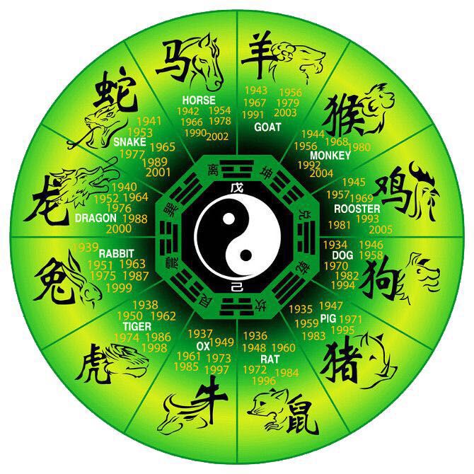 新版富婆一肖一特预测，精准分析生肖运势，详解财富机遇，助您把握财运先机