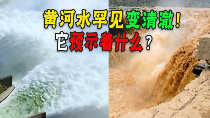 一肖一马一特预测准不准，民间玄学流传已久，众人尝试验证，结果褒贬不一