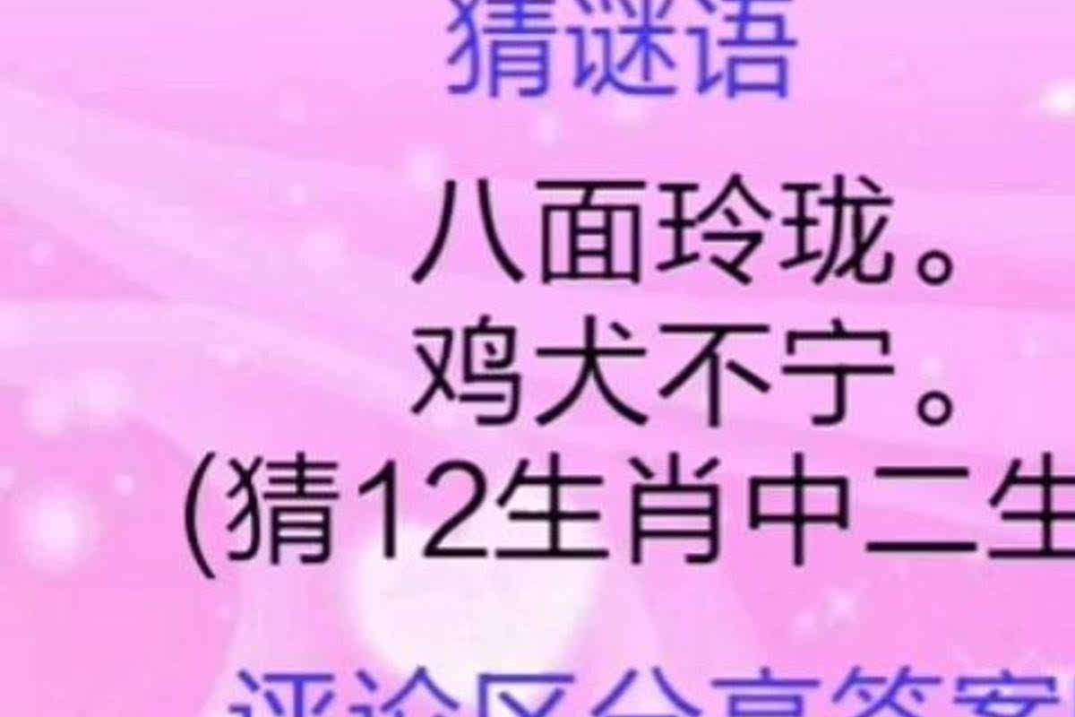 澳门金牌谜语生肖谜底揭晓，十二动物轮番登场，智慧与传统交织，趣味横生引人入胜