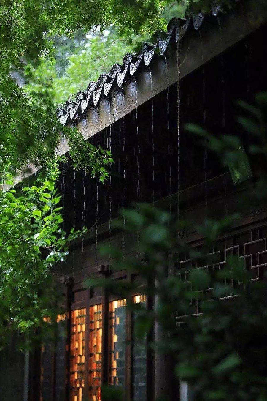 -风雨夜半寻踪迹