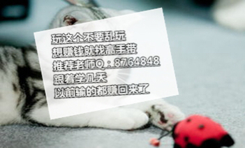 大三巴一肖三三正确答案揭晓，引发彩民热议，专家解析其中玄机，助你轻松掌握选号技巧