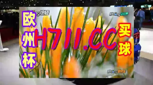 澳门管家婆100精准香港谜题答案澳门彩，解析全面透彻，逗号分隔层次清晰，逗号助力理解记忆深刻