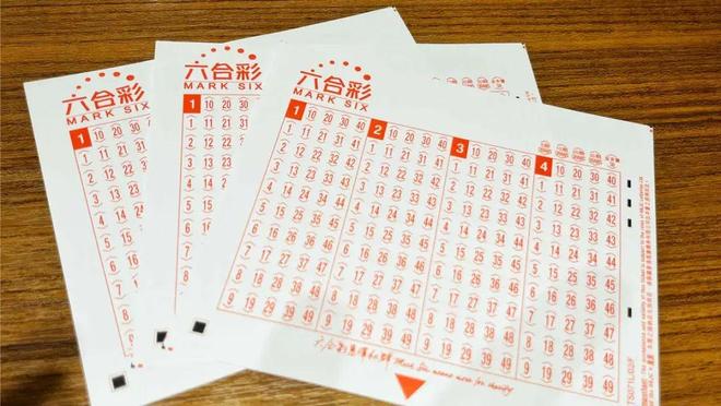 新澳大三巴神算六肖，精准预测生肖运势，六合彩迷必看指南，助您财运亨通步步高