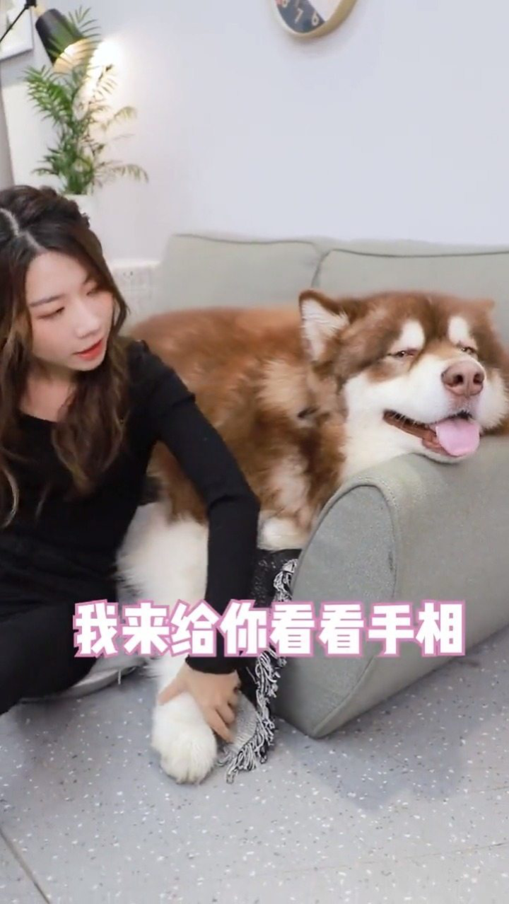 澳门管家婆100精准香港谜语今天的谜什么动物心直口,谜底揭晓令人会心一笑,此兽性情耿直不拐弯,答案正是那直肠子的憨厚牛 澳门管家婆100精准香港谜语今天的谜什么动物心直口,谜底揭晓令人会心一笑,此兽性情耿直不拐弯,答案正是那直肠子的憨厚牛