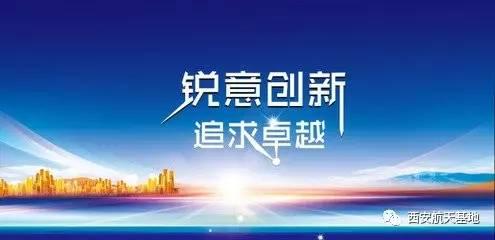 A1智能网神算5776acc，创新科技引领未来，精准预测助力决策，智能网络改变生活