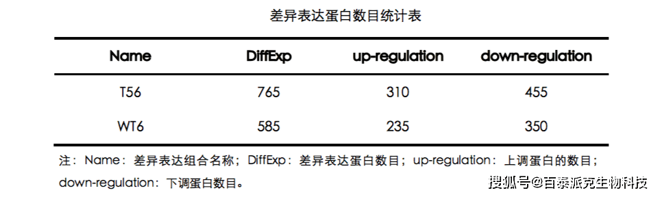 广东八二站82137ccm查询，提供精准数据服务，覆盖全省范围，操作简便结果可靠