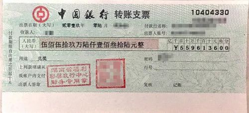 大三巴一肖一码100中奖故事，幸运彩民喜获百万大奖，现场欢呼声此起彼伏，梦想成真令人艳羡不已