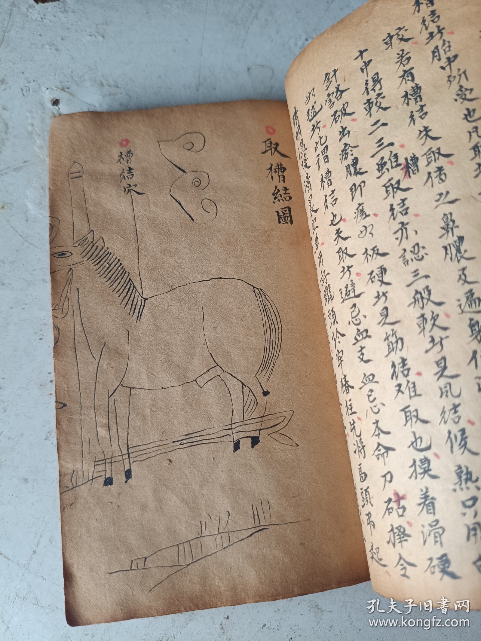 马经手机论坛，专注赛马资讯分享，汇聚万千马迷智慧，打造最专业的交流平台