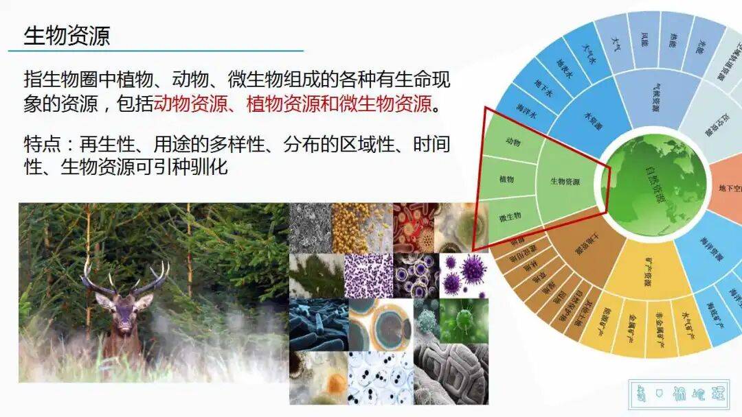 广东八二免费资料网站，资源丰富种类齐全，海量信息一键获取，学习娱乐两不误
