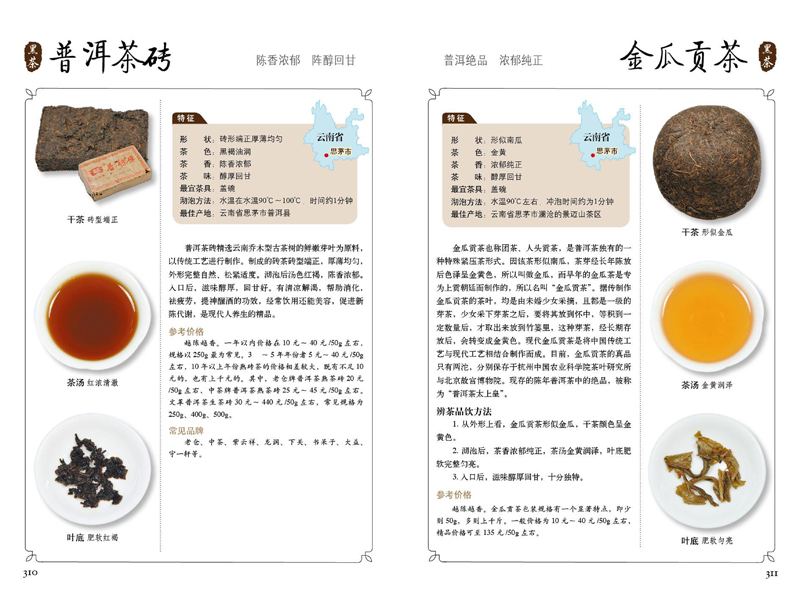 大三巴免费资料免费大全最新版，全面收录实用信息，轻松获取各类资源，助你畅游无忧