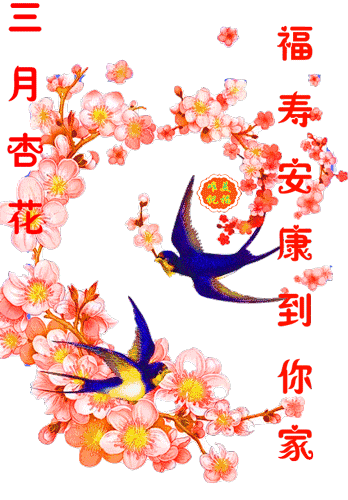 鼠年吉祥如意，虎啸风生财源广，狗护平安家宅旺，羊衔福穗兆丰年，澳三巴前迎新春