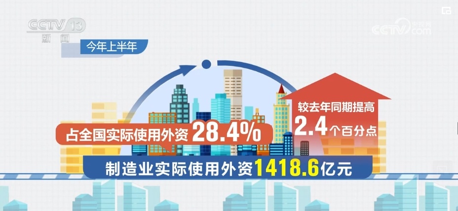 大三巴一肖一特2024年最新政策解读，权威专家深度剖析，涵盖规则调整与趋势预测，助您把握投资新机遇