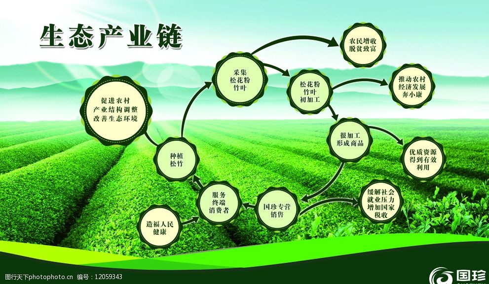 邳州市恒丰银杏苗圃场，专注培育优质银杏苗木，提供专业种植技术支持，打造绿色生态产业链