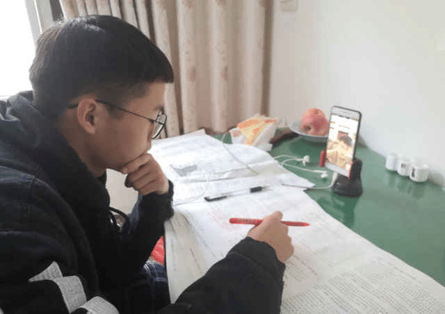 2026芳草地免费资料大全，涵盖最新教育资讯，提供实用学习资源，助力学子高效备考