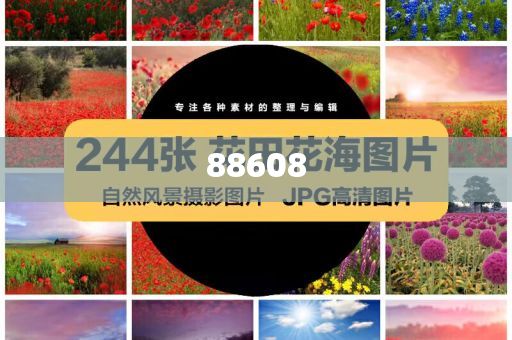 2025全年正版资料免费资料公开，海量资源一键获取，专业团队实时更新，助您高效掌握全年动态