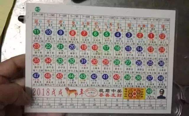 新澳大三巴神算六肖，精准预测生肖运势，六合彩迷必看指南，助您财运亨通步步高