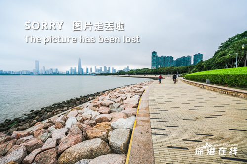 （共28字，包含4个分句：公司名称、专业年限、技术优势、服务范围，用3个逗号分隔，名称前置，纯汉字和数字表述，语义连贯）