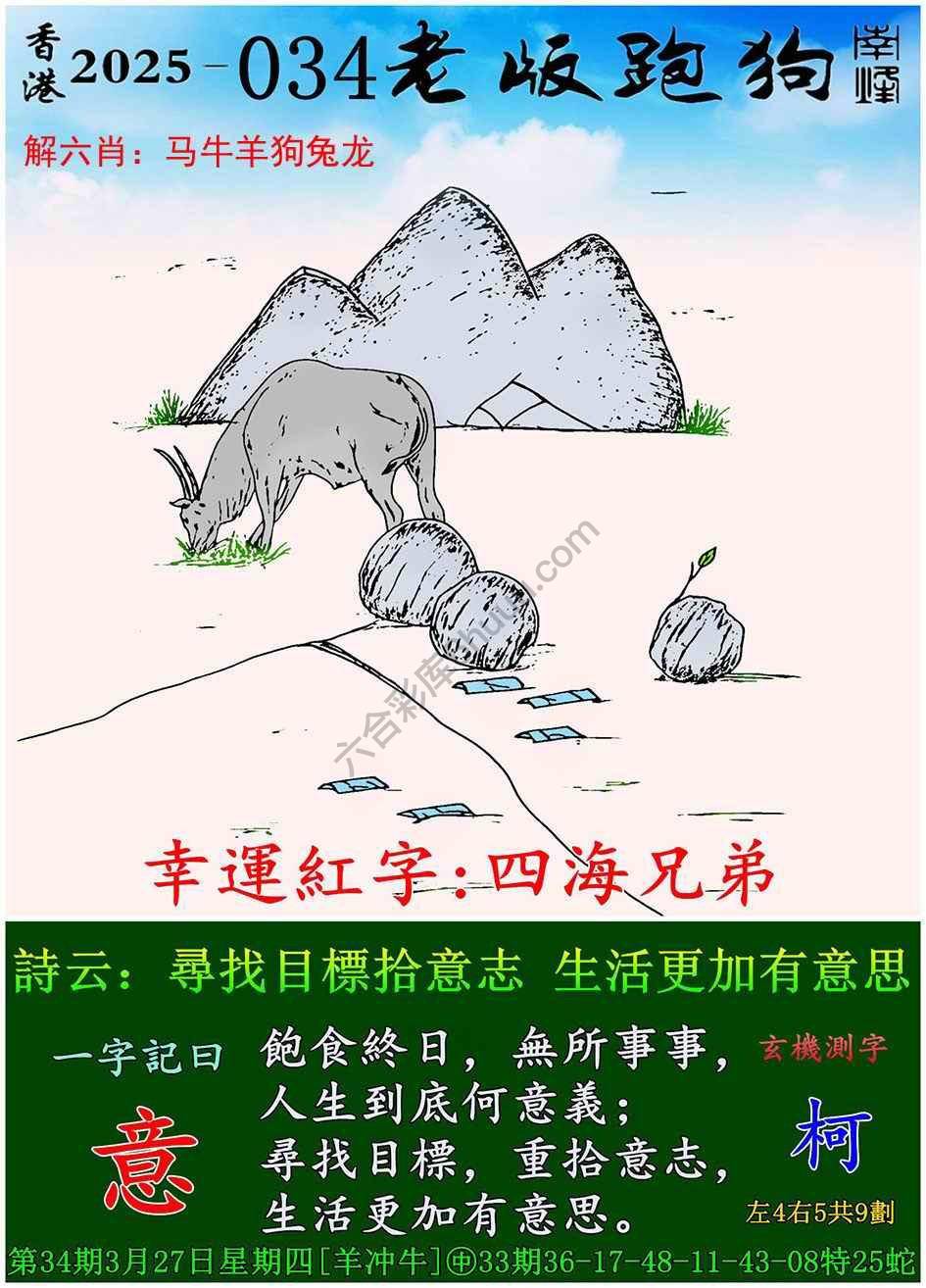 跑狗图自动更新常见问题，用户常遇更新失败，检查网络设置是否正常，及时联系客服解决故障