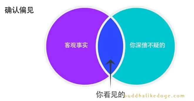香港白小相和香港白小区别，看似相近实则不同，前者重意境后者讲实用，细节之处见真章