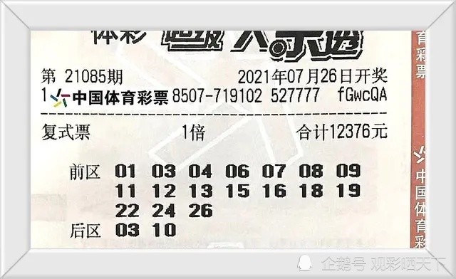 澳门一码一特一预测软件，精准分析澳门彩数据，提供独家一码一特推荐，助您轻松掌握开奖规律