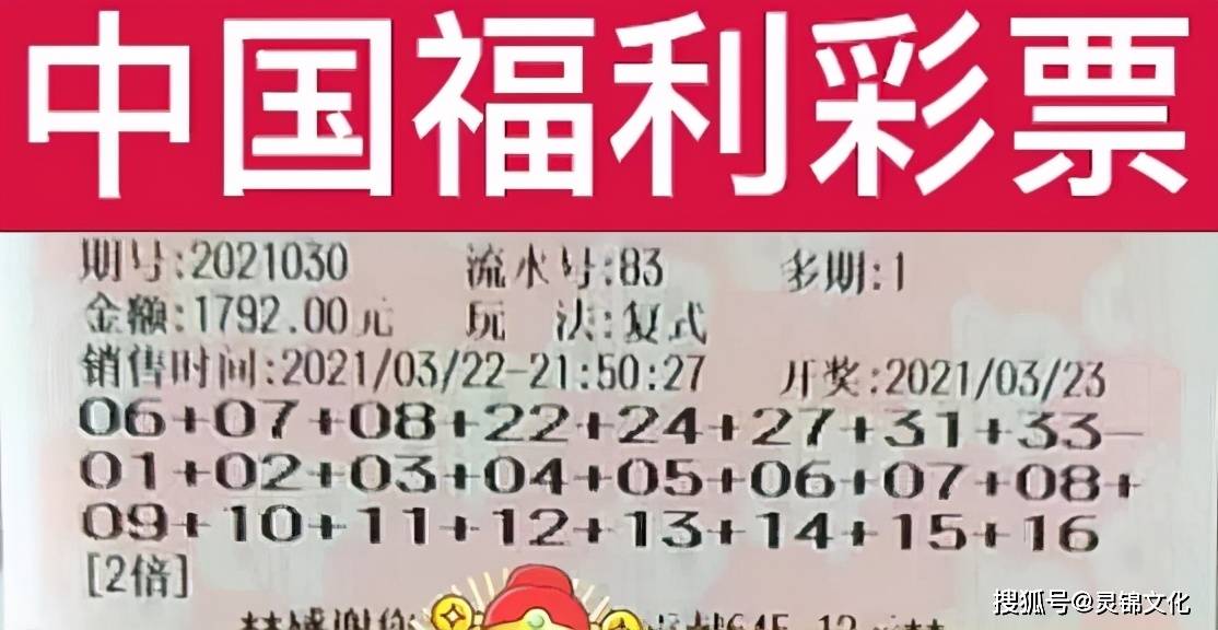 港彩二四六下期预测，精准分析号码走势，专业团队提供参考，助您轻松把握中奖机会