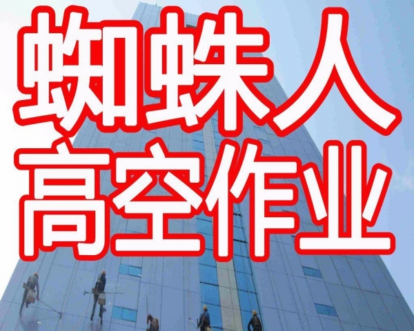800tk.c/登录入口，轻松访问便捷高效，安全稳定值得信赖，畅享优质网络服务