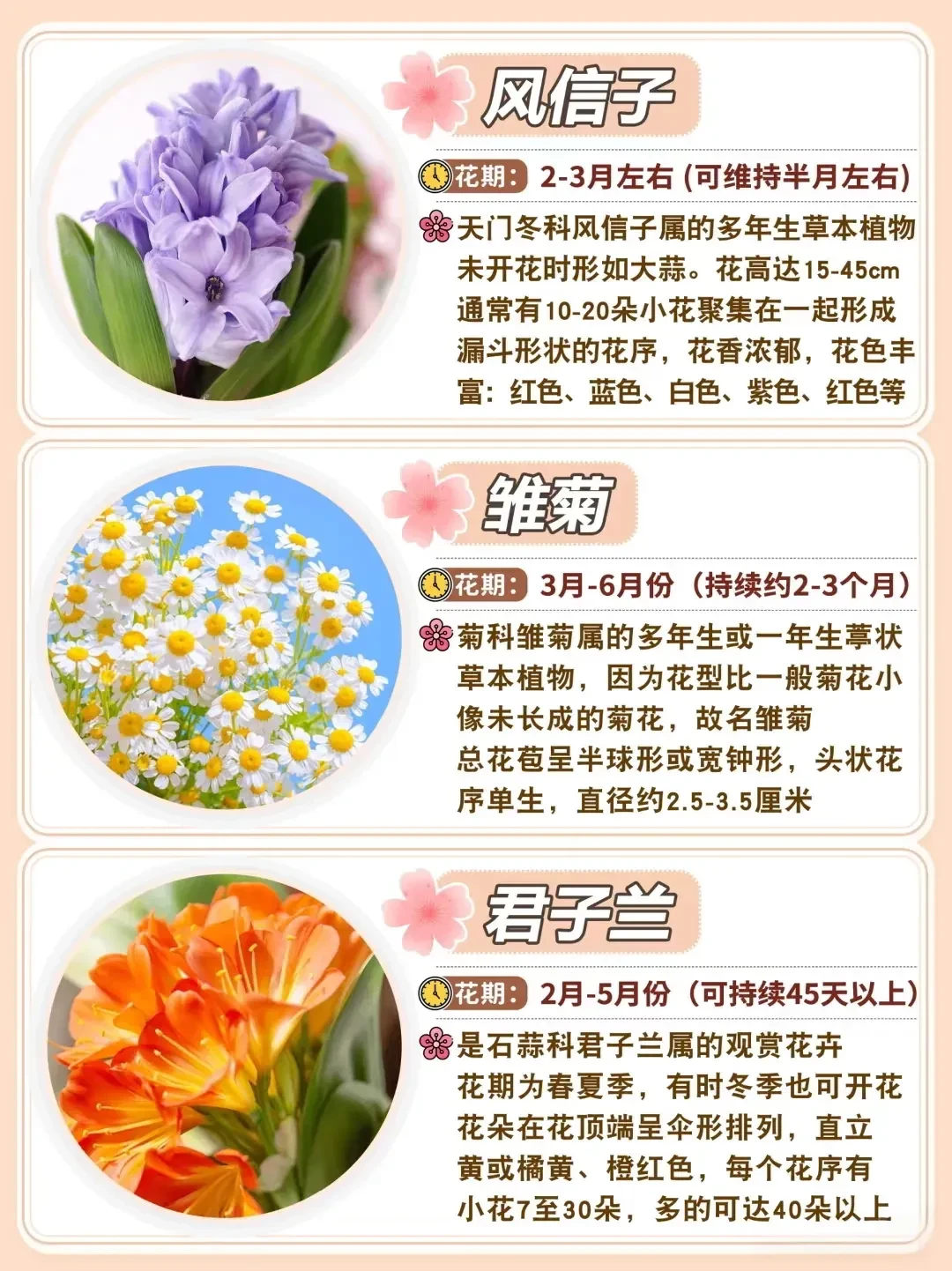 全国“五一”赏花地图来了，春光正好百花争艳，踏青出游正当时，快收下这份花期指南
