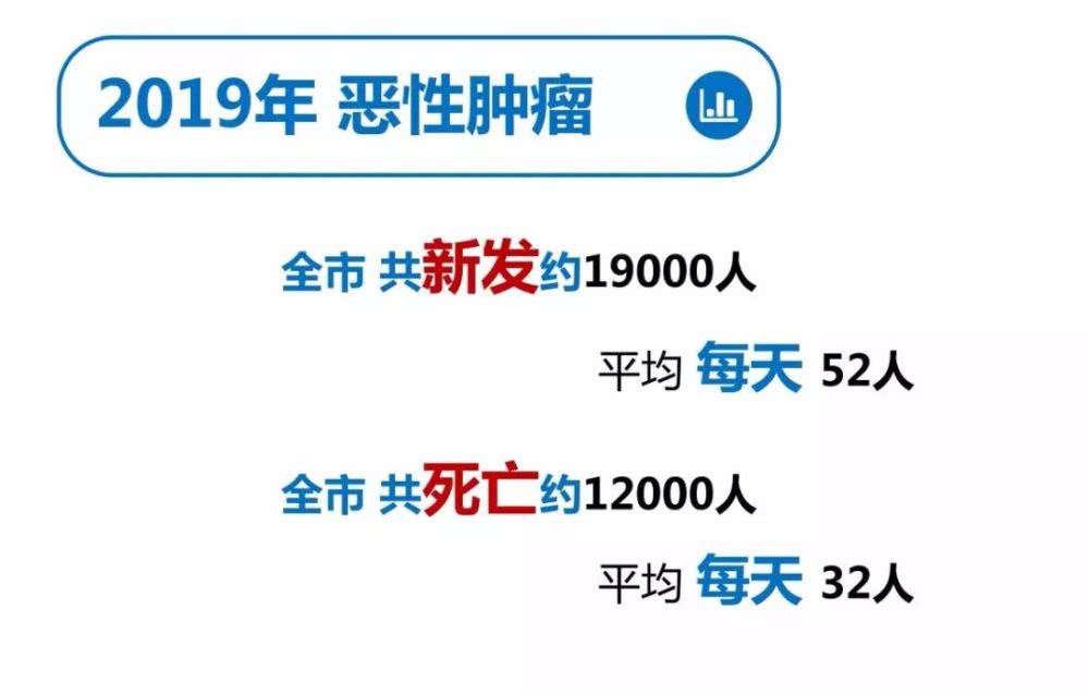 澳门大三巴开奖网，权威发布最新结果，精准预测彩票走势，为您提供专业数据分析