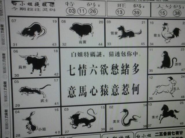 -谜题暗藏生肖玄机