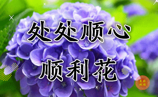 "77778888.c蟽m，幸运数字组合，带来财运亨通，吉祥如意永驻"