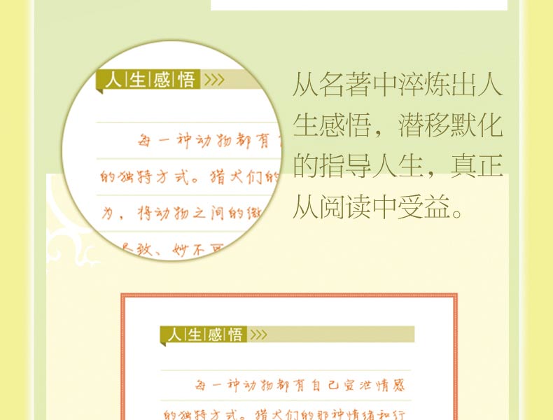 港彩二四六最准生肖预测，权威专家精心分析，独家揭秘中奖规律，助你轻松赢取大奖