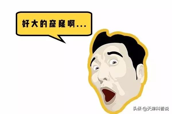 澳门管家婆生肖预测准不准，众人热议纷纷，有人深信不疑，也有人持观望态度
