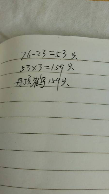 一九左右有好码指什么肖，谜底藏在生肖中，仔细揣摩数字玄机，或许能解开其中奥秘
