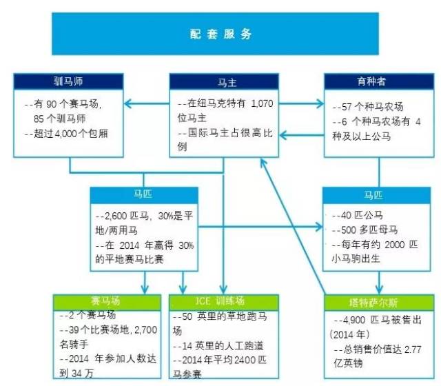 凤凰马经一聚集全网的最新消息，涵盖赛马资讯与数据分析，提供专业预测与独家解读，助您掌握赛事动态与投注先机