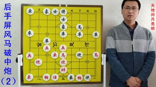 澳门管家婆100期谜底怎么看，掌握技巧是关键，多期数据对比分析，轻松破解其中规律
