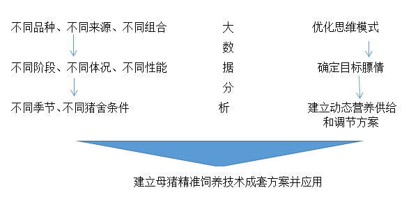 二四六预测准不准怎么看，专家解析关键因素，数据验证准确性，助你判断未来趋势