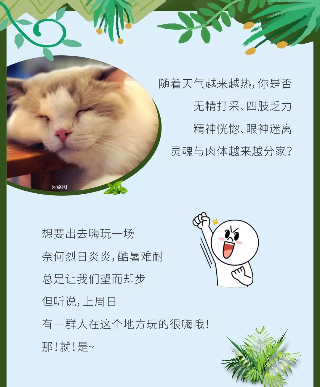 新澳门管家婆100精准谜语今天的谜，趣味横生等你来猜，答案藏在字里行间，解开它就能乐开怀