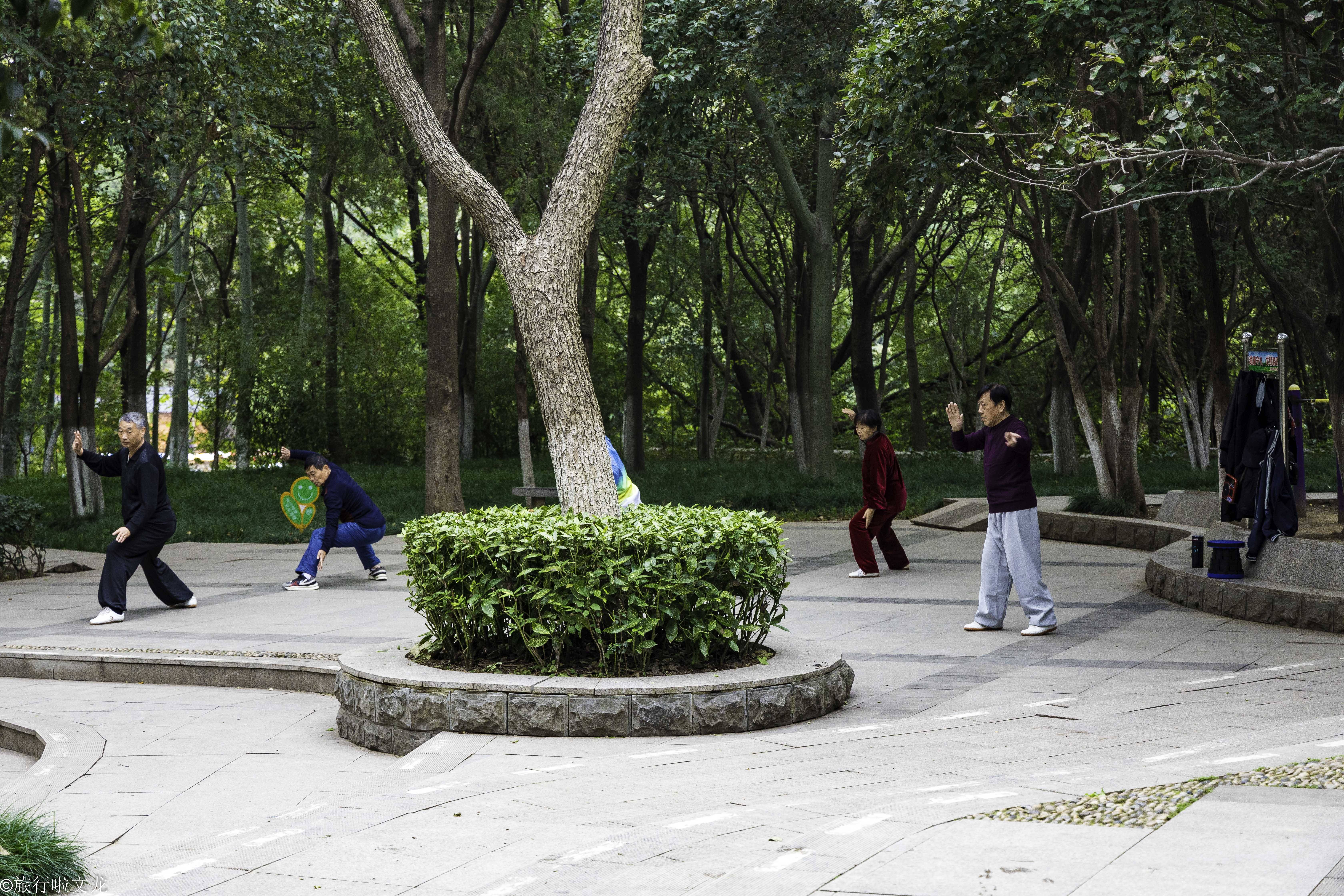 广东八二站六叔公，年过七旬精神矍铄，每日清晨公园练太极，街坊邻里赞他热心肠