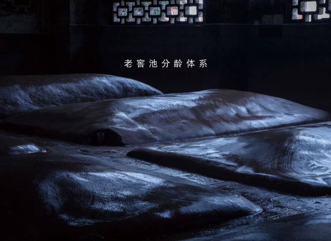 "六叔公资料详实可靠，历经岁月沉淀，内容丰富多样，涵盖家族历史与个人轶事"